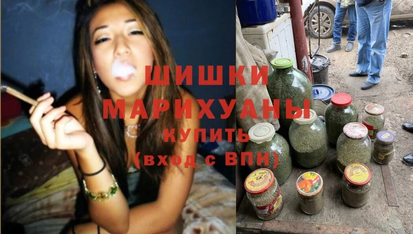 сатива Саяногорск